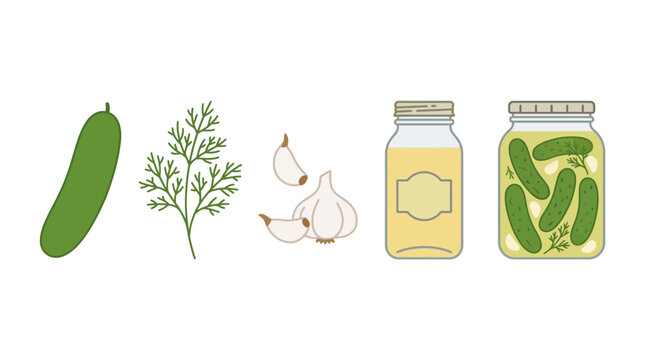 Pickling ingredients and jar of fermented cucumbers vector