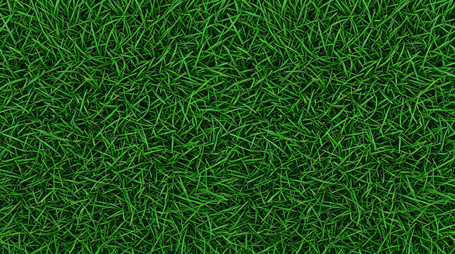 Fresh green grass texture pattern for natural background and garden design.