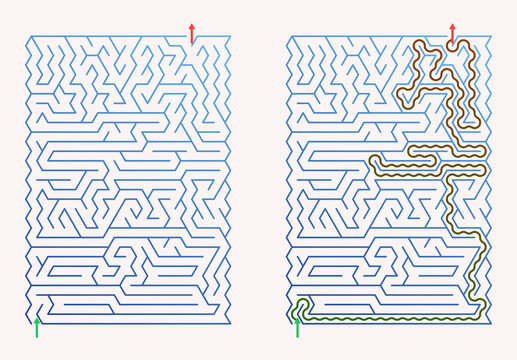 Maze design with paths highlighted in different colors