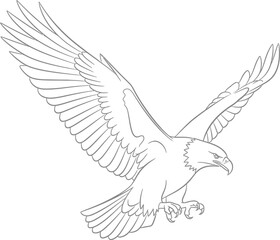 Fototapeta premium Detailed line art illustration of a majestic bald eagle flying.