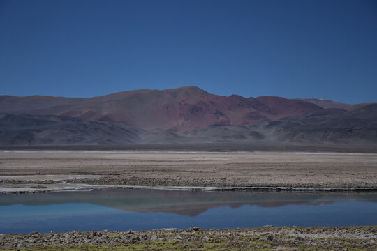 puna de catamarca