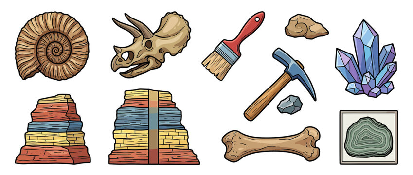 Paleontology Collection: Fossils, Rocks, and Tools