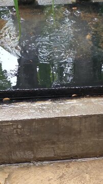 Rain Pouring on Metal Surface Creating Bubbles in Puddle