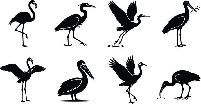 Wading bird silhouettes vector set featuring flamingo heron stork pelican and ibis graphics