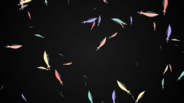 Floating Colorful Feathers Dark Background Motion Graphic Loop