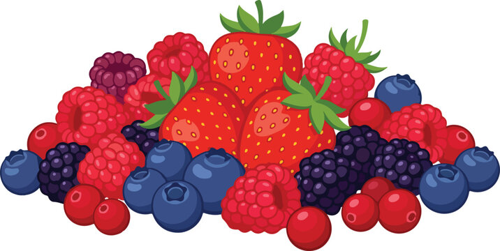 Assortment of fresh berries including strawberries raspberries blueberries blackberries and cranberries against a white background