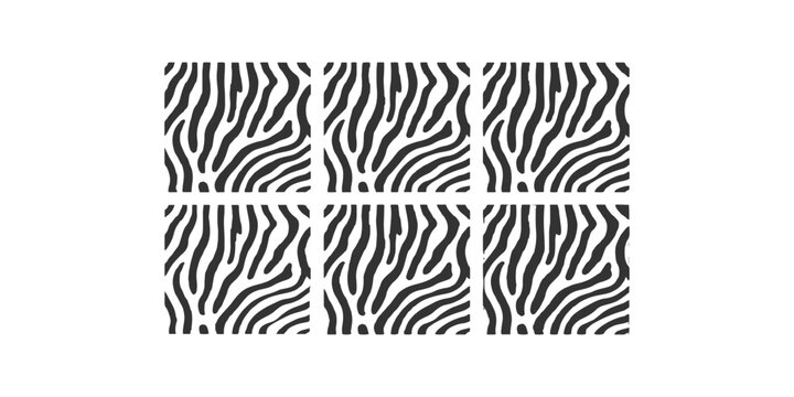 Black and white zebra skin stripe texture swatches with wild animal fur pattern tiles vector illustration graphic background.