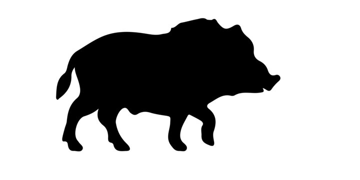 Black wild boar silhouette vector illustration isolated on white background