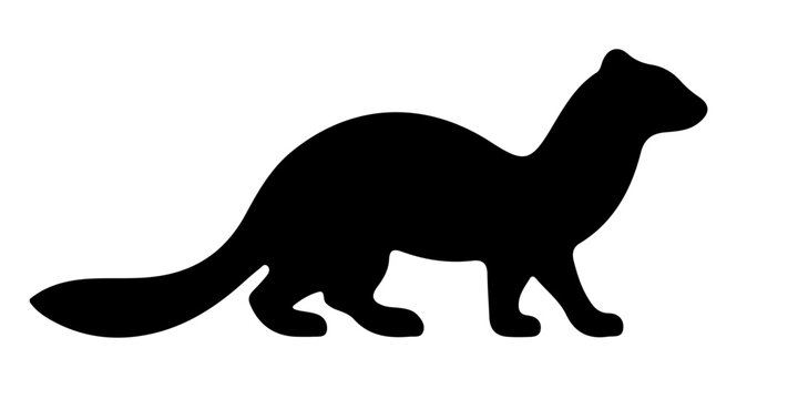 Black ferret silhouette vector illustration isolated on white background
