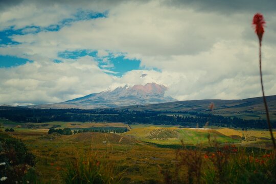 Cotopaxi volcano with snow-capped peak rising above rolling hills in Ecuador