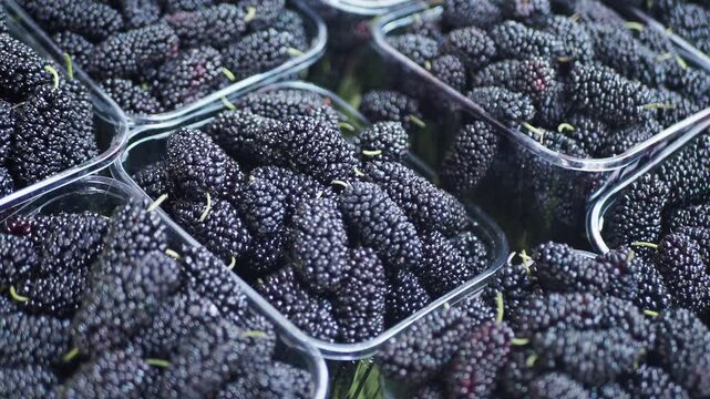 Fresh blackberries at a local market in summer
