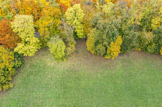 beautiful trees with colorful bright foliage in autumnal park. aerial overhead view.