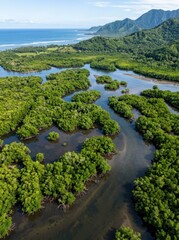 Obraz premium Aerial View of Lush Tropical Mangrove Forest and Coastal Estuary with Mountains and Sea Background