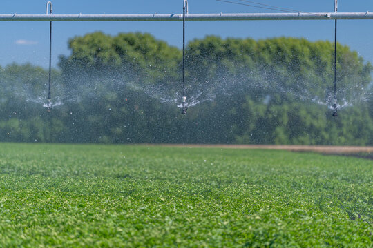 Innovative irrigation system transforms lush fields with precision sprinkling