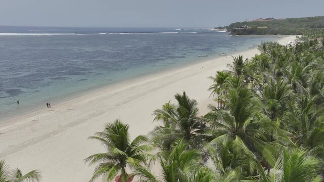 aerial view of natural landscape of Nusa Dua Beach with palm trees in Bali island, Indonesia