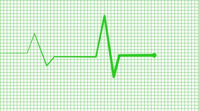 Pulse Monitoring Animation Featuring Digital Medical Heartbeat Line