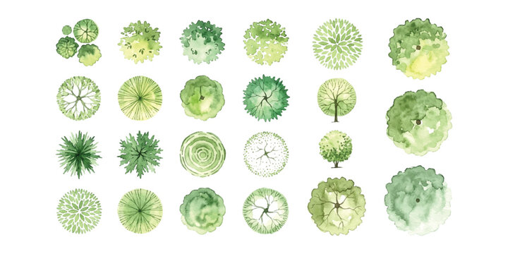 Set of various green trees top view for landscape design plans and architectural site maps