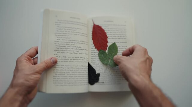 Person reading book with natural leaf bookmark