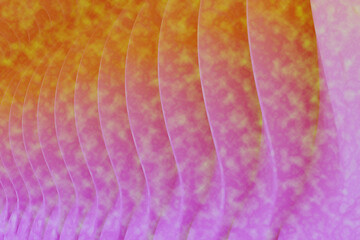 Obraz premium Abstract fabric with pink and gold stripes
