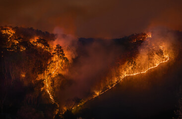 Fototapeta na wymiar El Nino climate event dries regions and increased wildfire risk.