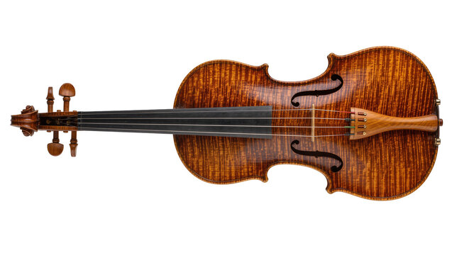 Detailed brown flamed maple violin with ebony fingerboard, isolated on transparent background
