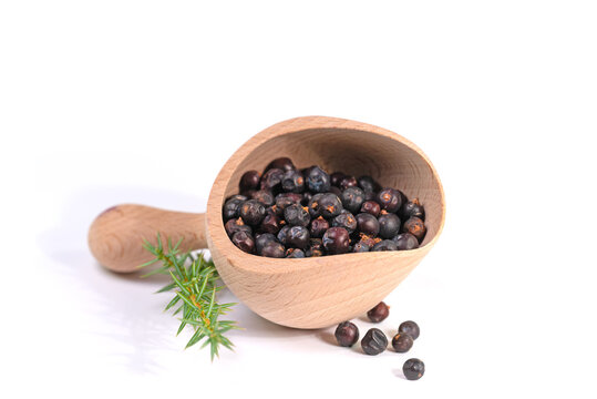 Wacholderbeeren auf einer Gew&uuml;rzschaufel vor wei&szlig;em Hintergrund