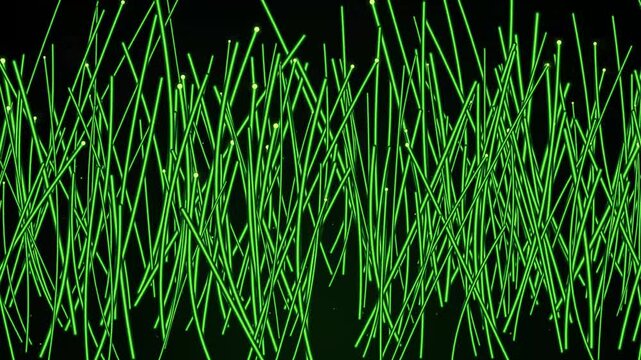 Abstract green and silver lines pattern with thin vertical stalks on a dark black background forming a digital data forest design for modern technology and science concept 4k Motion Video
