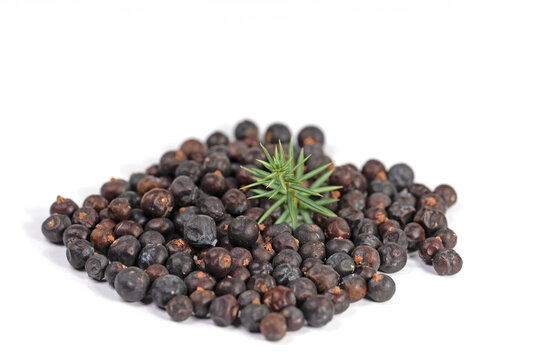 Wacholderbeeren vor wei&szlig;em Hintergrund