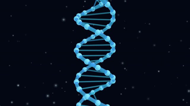Cinematic 3D visualization of a human DNA double helix with glowing molecular particles and delicate connection lines, slowly rotating around its Y axis against a deep dark background with soft depth