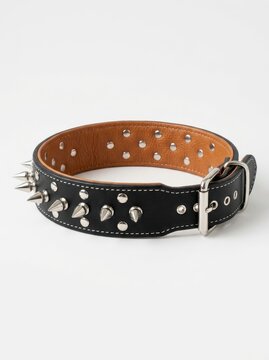 Black Leather Spiked Dog Collar with Silver Metal Studs and Buckle Isolated on White Background