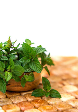 Mint in small basket on natural wooden background, peppermint, selective focus, close up