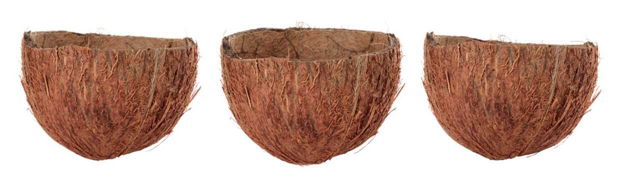 Set of Bowls which made from half coconut shell with texture, isolated on transparent background, full focus stacking for sharp natural detail