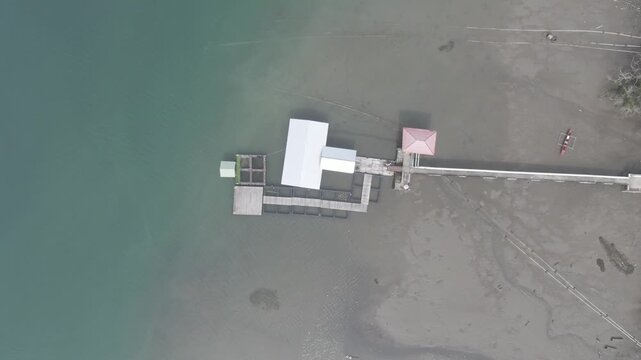 Coastal aquaculture facility aerial top down view, showing floating dock pier and seaweed farming longlines near sandy shore in tropical ocean water.