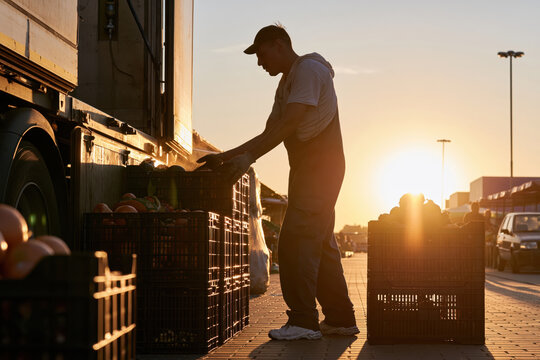 Farmer unloading crates of vegetables from truck at sunrise on market street