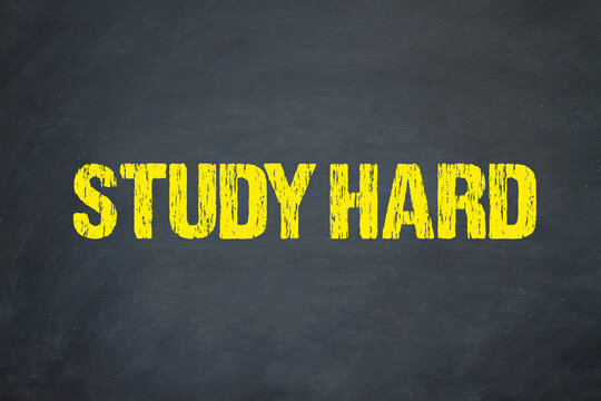 Study hard	
