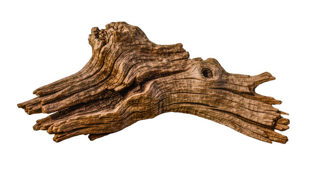 Gnarly weathered driftwood with intricate grain patterns, isolated on transparent background