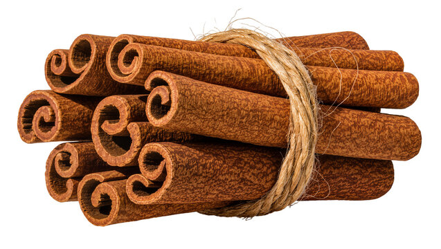 Bundle of dried cinnamon sticks tied with rough jute twine, isolated on transparent background