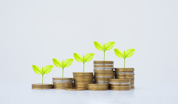 coin stack money saving concept. green leaf plant growth on rows of coin on white background. money matters tips to investment and business financial banking for Financial Wellness.money management.