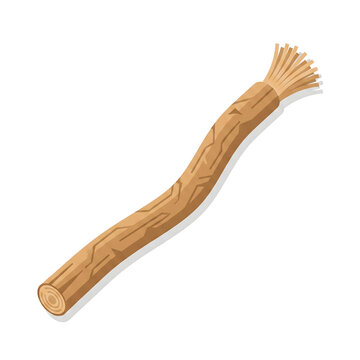 Wooden siwak miswak scraping stick massage tool isolated on white background