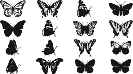 Fototapeta premium Black Butterfly Silhouette Vector Icon Set with Detailed Insect Wing Designs and Moth Elements for Stencil Laser Cutting and Graphic Layouts