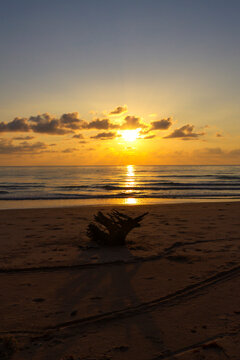 Sunrise on sea and silhouette of log