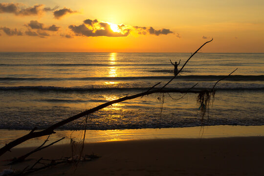 Sunrise on sea in morning and dry tree