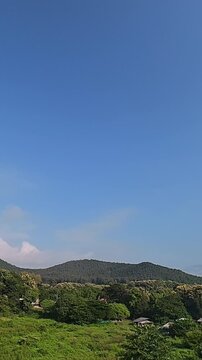 Timelapse of a forested mountain beneath a clear blue sky, capturing lush green vegetation, peaceful natural scenery and a beautiful outdoor landscape.
