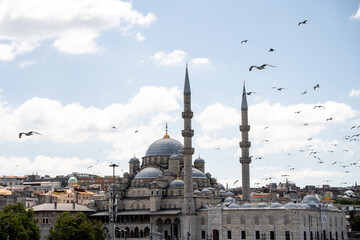 Ottoman mosque with high minarets stands in Istanbul under cloudy sky with flying birds. Historic islamic architecture highlights city travel heritage and cultural freedom. © Tetiana