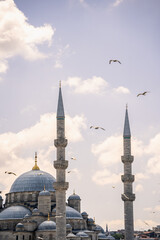 Minarets and blue dome of historic mosque rise under cloudy sky with flying seagulls in Istanbul. Ancient turkish architecture highlights islamic religious heritage and traditional tourism. © Tetiana