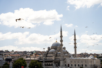 Ottoman mosque stands under sunny blue sky with seagulls flying around minarets. Image captures traditional turkish architecture and urban travel culture in Istanbul. © Tetiana