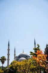 Blue Mosque minarets and central dome rise behind green tree branches in Istanbul. Historic ottoman architecture destination represents islamic heritage and cultural tourism in Turkey. © Tetiana