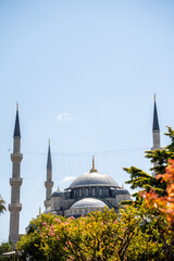 Historic mosque architecture featuring grand domes and towering minarets against clear blue sky. Cultural landmark travel destination representing traditional Islamic heritage and tourism. © Tetiana