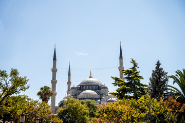 Domes and minarets of the Blue Mosque stand behind lush green trees under a bright sunny sky. The image conveys historical architecture and summer travel atmosphere in Istanbul. © Tetiana