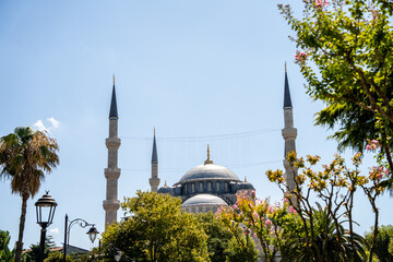 Blue Mosque minarets and central dome rise above green trees against clear blue sky in Istanbul Turkey. Historic ottoman architecture highlights religious heritage and famous cultural travel landmark. © Tetiana